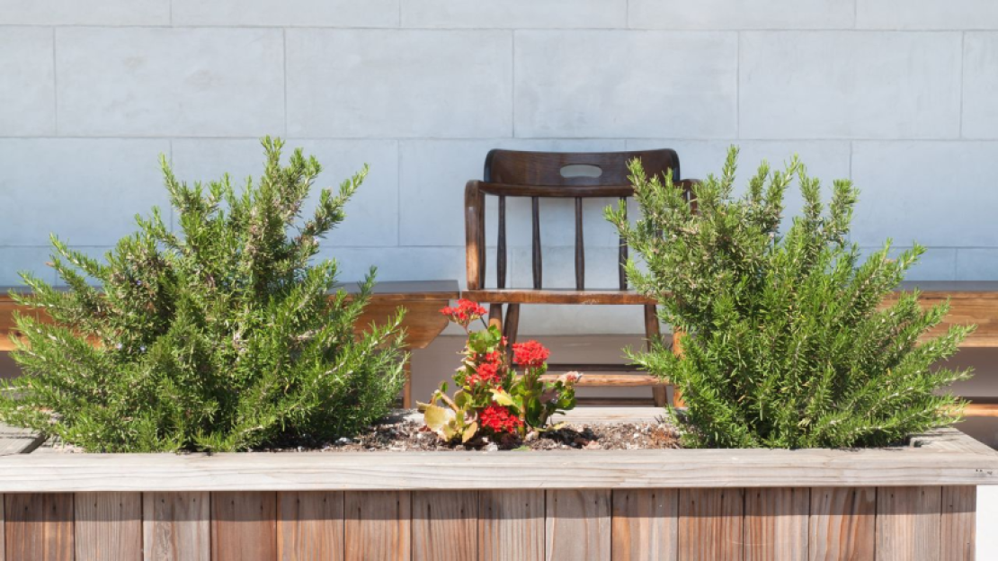 Magaságyás kialakítása növényekkel