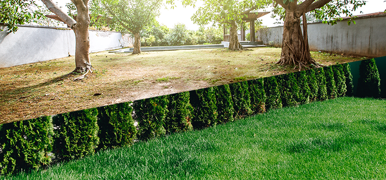 gyepszellőztetés menete ősszel