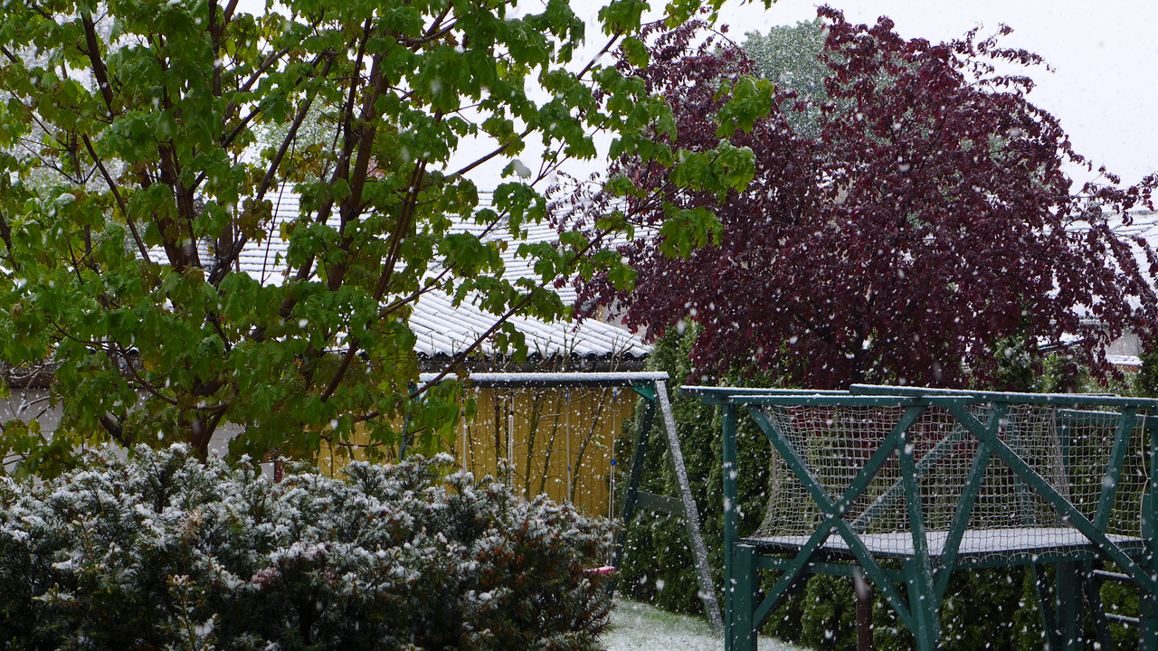 referencia: kerti kilátó