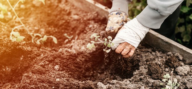 Magaságyás készítése könnyebb kertészkedés